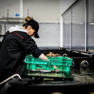 servicios acuicultura Arbúcies